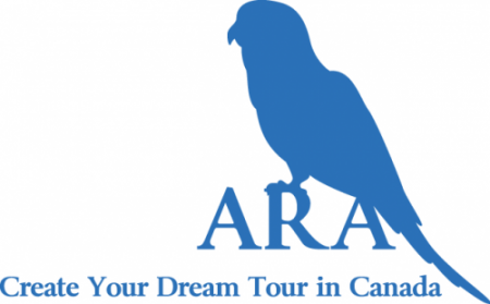 ARA Professional Travel & Support Inc.